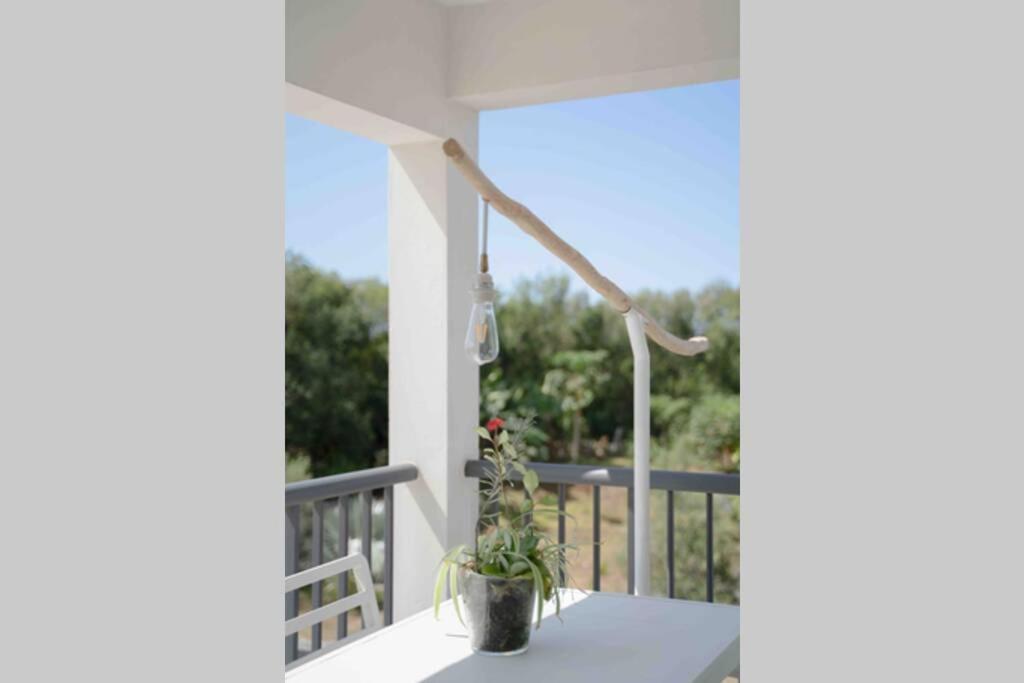 Apartament Ti-Punch T3 Climatise Manapany Les Bains Zewnętrze zdjęcie